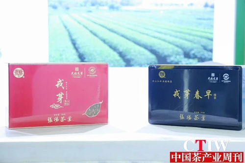 聚焦茶博会 第12届四川国际茶博会品香茗赏雅器如火如荼